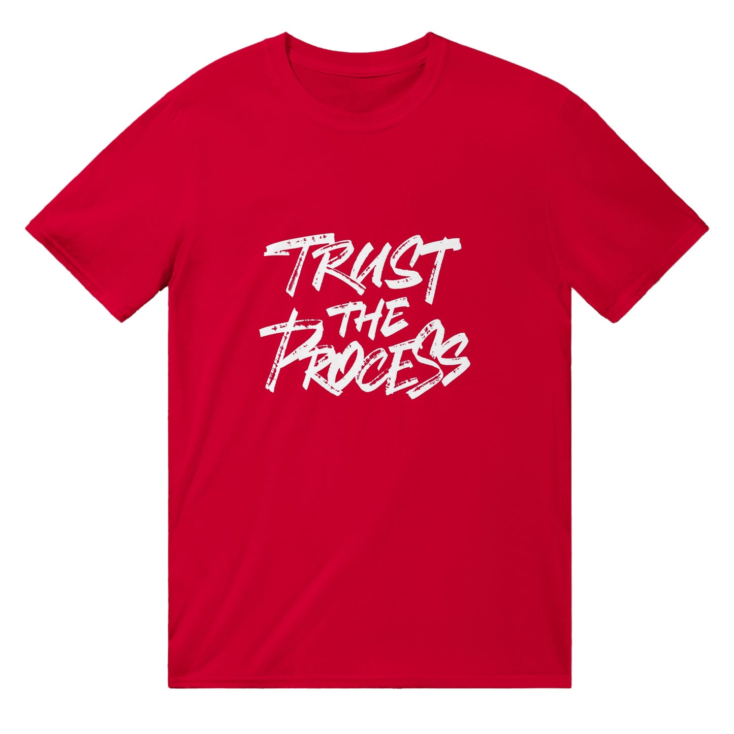 Trust The Process